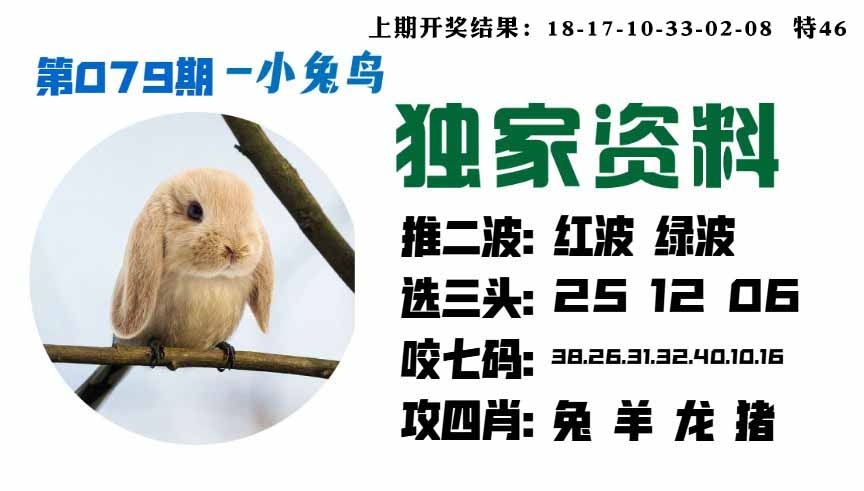 079期小兔鸟[图]