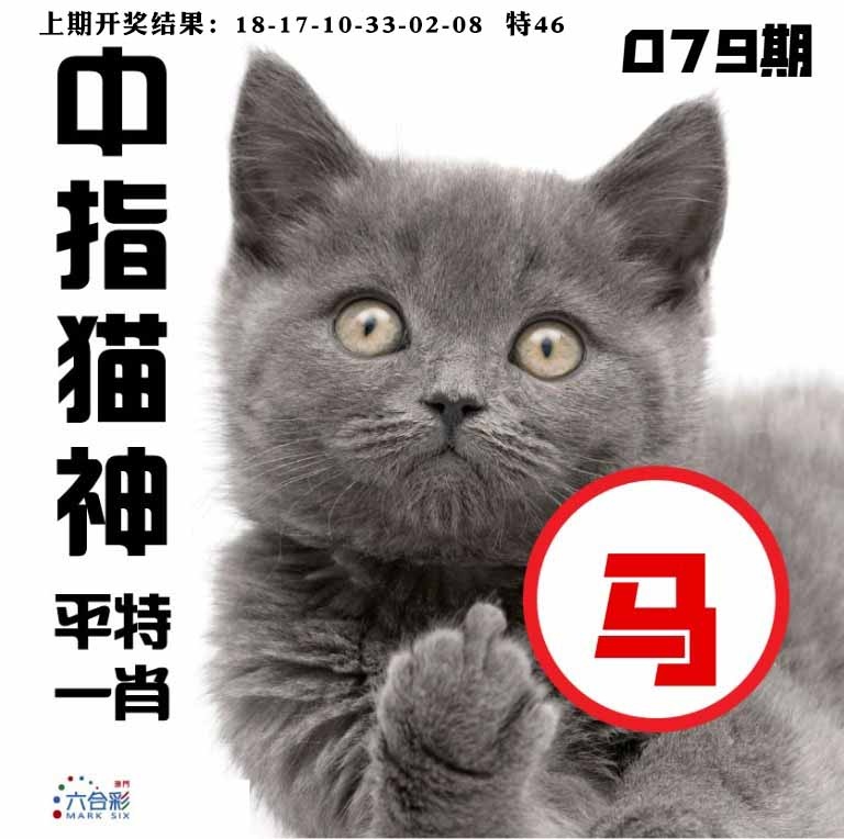 079期中指猫神[图]